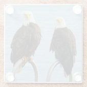 Kale adelaars met houding Grappig Wildlife Glazen Onderzetter (Achterkant)