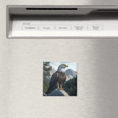 Kale adelaar's Wildlife: Aquila roofvogel, Erne Magneet (Insitu (Vaatwasser))