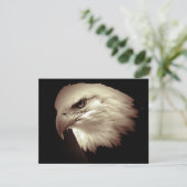 Kale American Eagle Eye nodigt uit Kaart (Staand voorkant)