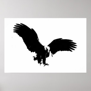 Kale Amerikaanse Adelaar Poster Print BW Adelaars