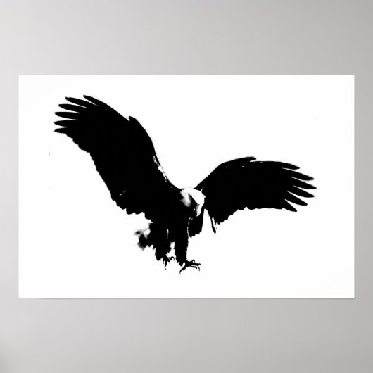 Kale Amerikaanse Adelaar Poster Print BW Adelaars  (Voorkant)