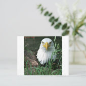 kale arend briefkaart (Staand voorkant)