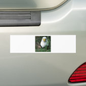 kale arend bumpersticker (Op auto)