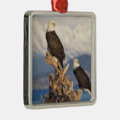 kale arend, Haliaeetus leuccocephalus, paar Metalen Ornament (Rechts)