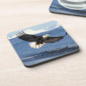 kale arend, Haliaeetus leuccocephalus, tijdens de Bier Onderzetter (Linkerzijde)