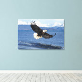 kale arend, Haliaeetus leuccocephalus, tijdens de  Canvas Afdruk (Insitu (Houten vloer))