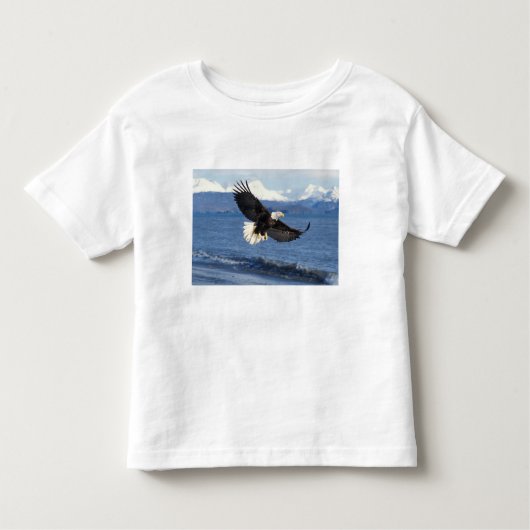 kale arend, Haliaeetus leuccocephalus, tijdens de Kinder Shirts (Voorkant)
