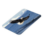 kale arend, Haliaeetus leuccocephalus, tijdens de  Magneet (Linkerzijde)