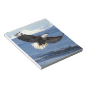 kale arend, Haliaeetus leuccocephalus, tijdens de Notitieblok (Schuin)