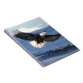 kale arend, Haliaeetus leuccocephalus, tijdens de  Notitieboek (Rechterzijde)