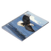 kale arend, Haliaeetus leuccocephalus, tijdens de  Notitieboek (Linkerzijde)