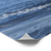 kale arend, Haliaeetus leuccocephalus, tijdens de  Poster (Hoek)