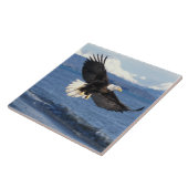 kale arend, Haliaeetus leuccocephalus, tijdens de  Tegeltje (Zijkant)