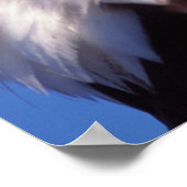 kale arend, Haliaeetus leucocephalus, dichtbij, 3 Poster (Hoek)