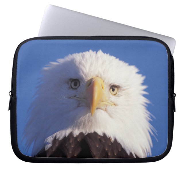 kale arend, Haliaeetus leucocephalus, hoofdschot, Laptop Sleeve (Voorkant)
