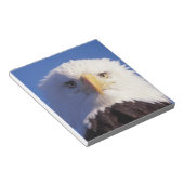 kale arend, Haliaeetus leucocephalus, hoofdschot, Notitieblok (Schuin)