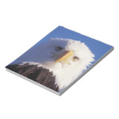 kale arend, Haliaeetus leucocephalus, hoofdschot, Notitieblok (Linkerzijde)