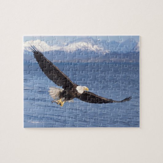 kale arend, Haliaeetus leucocephalus, tijdens vluc Legpuzzel (Horizontaal)