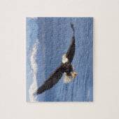 kale arend, Haliaeetus leucocephalus, tijdens vluc Legpuzzel (Verticaal)