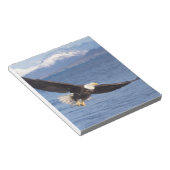 kale arend, Haliaeetus leucocephalus, tijdens vluc Notitieblok (Schuin)