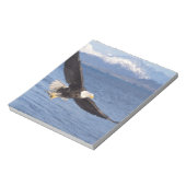 kale arend, Haliaeetus leucocephalus, tijdens vluc Notitieblok (Linkerzijde)