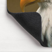 kale arend muismat (Hoek)