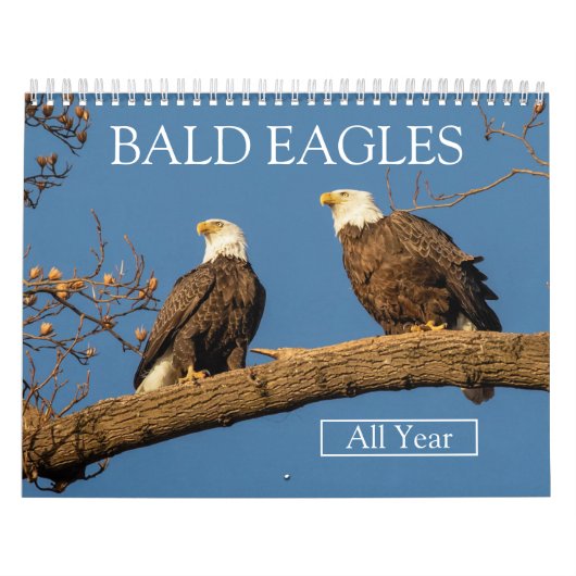 KALE ARENDEN het hele jaar door Kalender (Hoes)