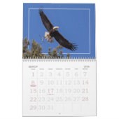 KALE ARENDEN het hele jaar door Kalender (Mar 2026)