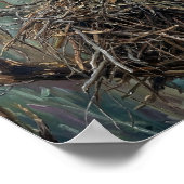 Kale Baldadelaar Nest Bosland Kunst Poster (Hoek)