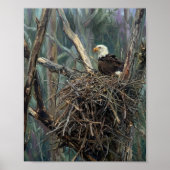 Kale Baldadelaar Nest Bosland Kunst Poster (Voorkant)