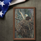 Kale Baldadelaar Nest Bosland Kunst Poster