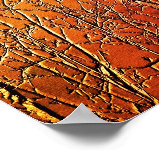 Kale berkenboomtakken Abstract Poster (Hoek)