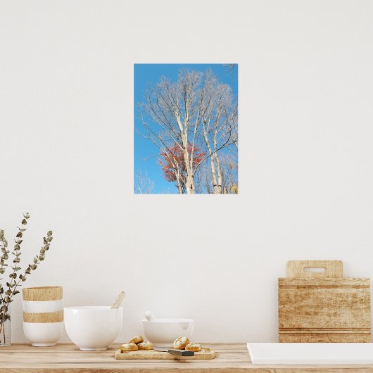 Kale bomen poster (Keuken)