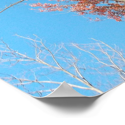 Kale bomen poster (Hoek)