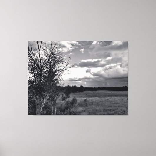 Kale Boom Onder Bewolkte Hemel Canvas Afdruk (Voorkant)