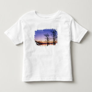 Kale cypressbomen in silhouet bij zonsondergang, kinder shirts