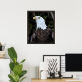 Kale Eagle Art Print -20x24 -of kleiner (Thuiskantoor)