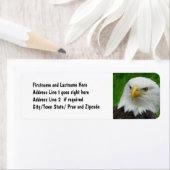 Kale Eagle - Close-up Wild Eagle Foto Etiket (Insitu)