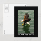 Kale Eagle Motivatie Briefkaarten (Voorkant / Achterkant)