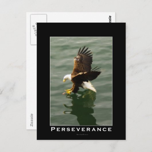 Kale Eagle Motivatie Briefkaarten (Voorkant / Achterkant)