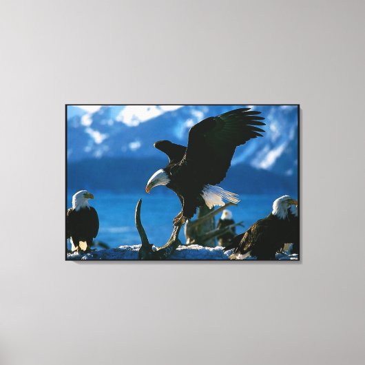 Kale Eagle op log verpakt Canvas Afdruk (Voorkant)