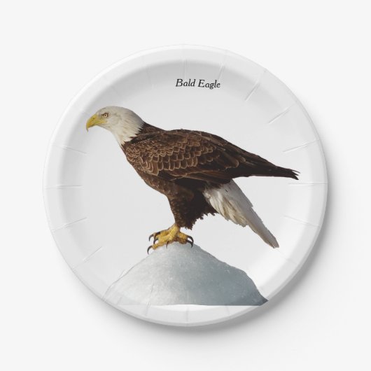 Kale Eagle papier bord (Voorkant)