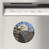 Kale Eagle Spring Nest Magnet (Insitu (Vaatwasser))