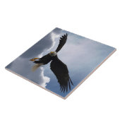 Kale Eagle Wildlife Foto Gift Tegel of Trivet Tegeltje (Zijkant)