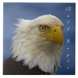 Kale Eagle Wildlife Foto Gift Tegel of Trivet Tegeltje