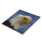 Kale Eagle Wildlife Foto Gift Tegel of Trivet Tegeltje (Zijkant)