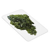 Kale fotomagneet magneet (Rechterzijde)