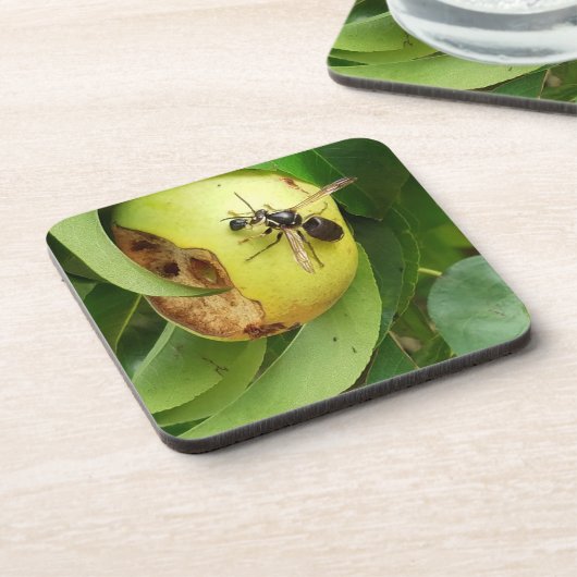 Kale Gezicht Hornet Eten Van Een Pear Drankjes Onderzetter (Linkerzijde)