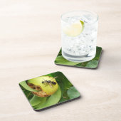 Kale Gezicht Hornet Eten Van Een Pear Drankjes Onderzetter (Rechterzijde)