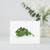 Kale Leaf Briefkaart (Staand voorkant)